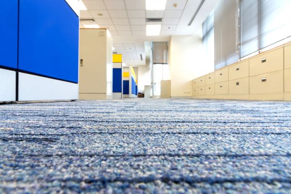 Business Carpet Cleaning in Terre Haute