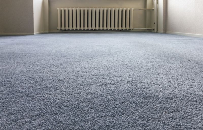 Carpet Repair Service detail